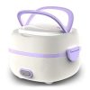 Multifunctional Electric Lunch Box 2