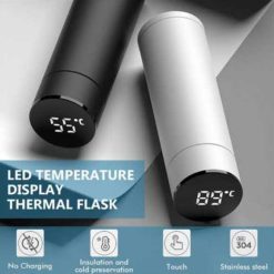Temperature Display Water Bottle