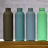 Elegant Vacuum Double Wall Bottle