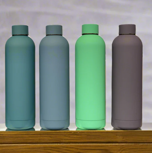 Elegant Vacuum Double Wall Bottle