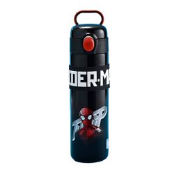 Metal Water Bottle (500ml)