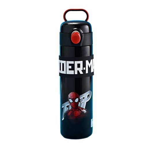 Metal Water Bottle (500ml)