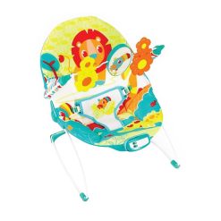 Buy Mastela Recline Baby Bouncer, 6889 – Kiddyco