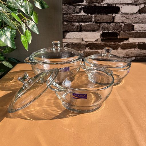 Delisoga® Set of 3 Round Tempered Glass Bakeware Bowl with Cover Trans
