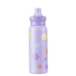Stainless Steel Insulated Water Bottle - 600ml