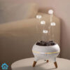Dynamic Jellyfish Diffuser Humidifier