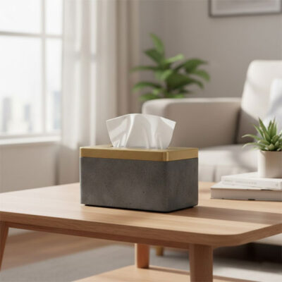 Tissue Boxes in Pakistan